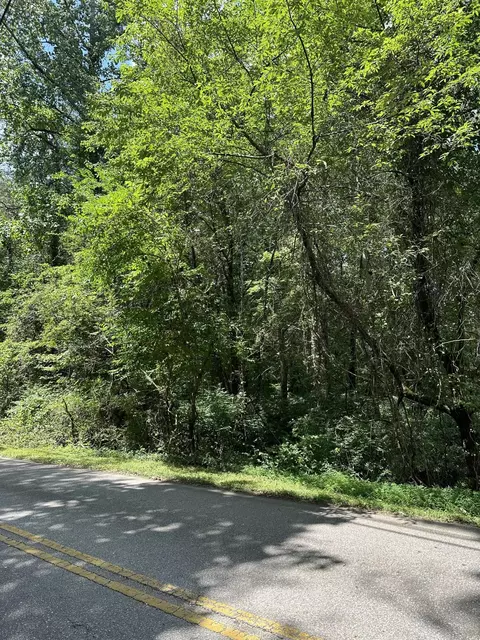 5103 Chestnut Ave, Signal Mountain, TN 37377