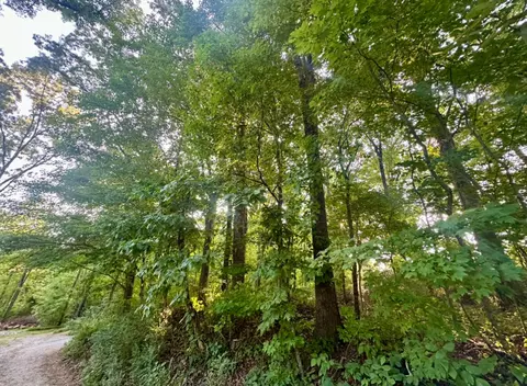 1 Ac Reed Strickland Ln, Spring City, TN 37381