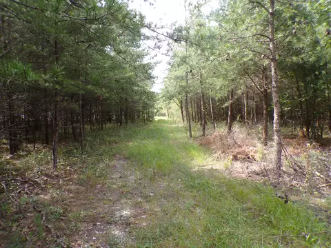 00 Goforth Rd #5/6, Spencer, TN 38585