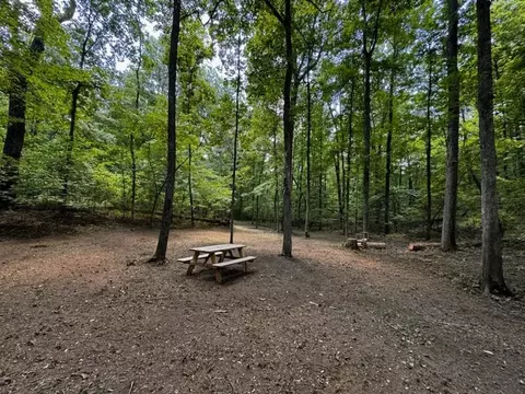 0 Rifle Range Rd, Ringgold, GA 30736