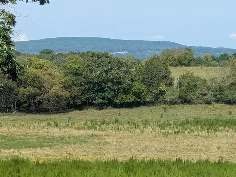 22 73 Acre Aslinger Rd, Sale Creek, TN 37373