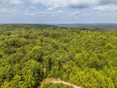 00 Otis Davis Rd, Pikeville, TN 37367