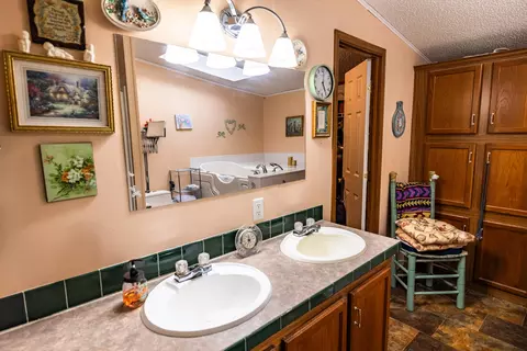 Bath - 385 Locust Rd, Dunlap, TN 37327 photo 4 of 5