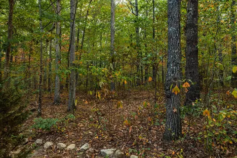 Exterior - 385 Locust Rd, Dunlap, TN 37327 photo 6 of 13