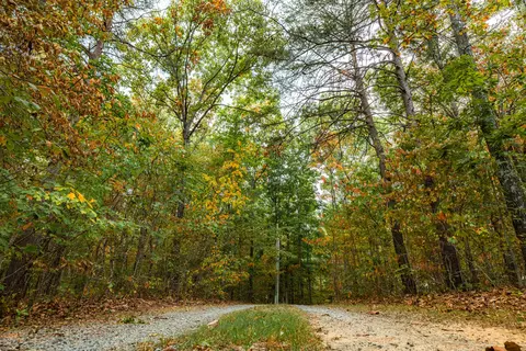 Other - 385 Locust Rd, Dunlap, TN 37327 photo 11 of 12