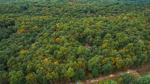 View/Area - 385 Locust Rd, Dunlap, TN 37327 photo 5 of 7
