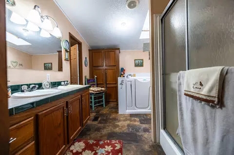 Bath - 385 Locust Rd, Dunlap, TN 37327 photo 3 of 5