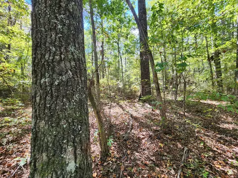 lot17 Whitetail Dr, Mentone, AL 35984