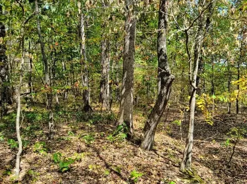 00 Sr 8 Rd, Dunlap, TN 37327 photo 6