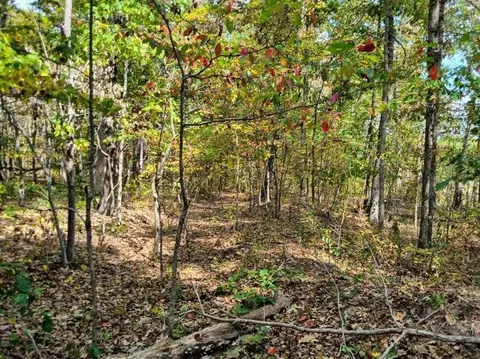 00 Sr 8 Rd, Dunlap, TN 37327 photo 9