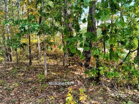 00 Sr 8 Rd, Dunlap, TN 37327 photo 7