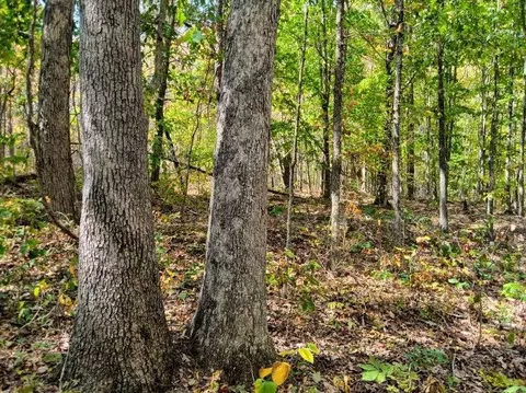 00 Sr 8 Rd, Dunlap, TN 37327 photo 2