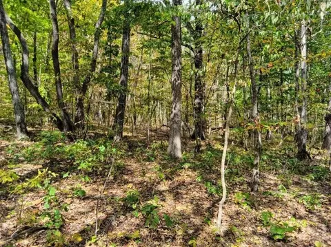 00 Sr 8 Rd, Dunlap, TN 37327 photo 5