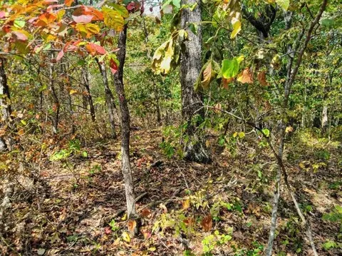 00 Sr 8 Rd, Dunlap, TN 37327 photo 8