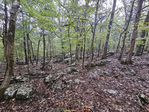 5 Sewanee Summitt Rd #2, Decherd, TN 37324