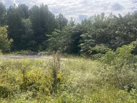 0 Alabama State Route 40, Valley Head, AL 35989