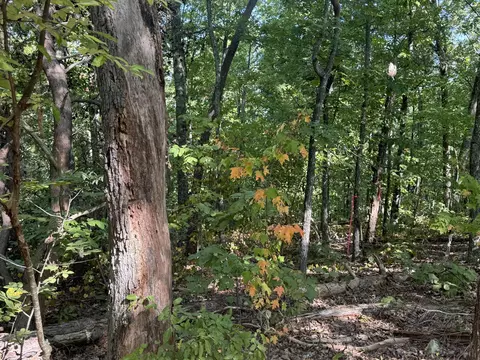 00 Balllplay School Rd, Tellico Plains, TN 37385