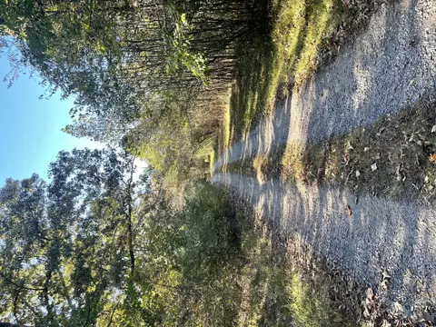 Undisclosed, Cleveland, TN 37312