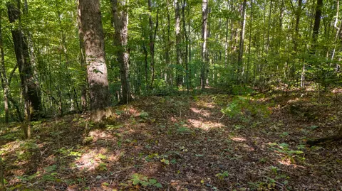 0 Sand Mountain Rd, Ocoee, TN 37361 photo 10