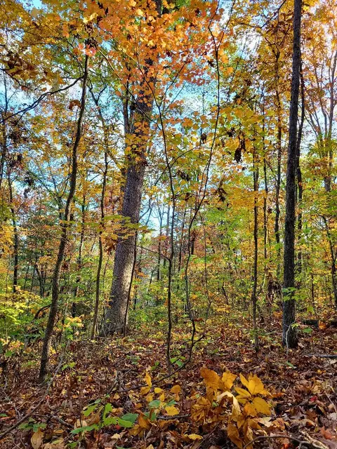 0 Sand Mountain Rd, Ocoee, TN 37361 photo 19