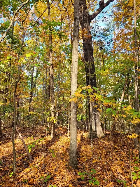 0 Sand Mountain Rd, Ocoee, TN 37361 photo 23