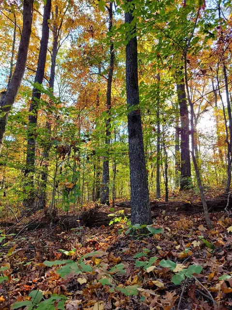 0 Sand Mountain Rd, Ocoee, TN 37361 photo 20