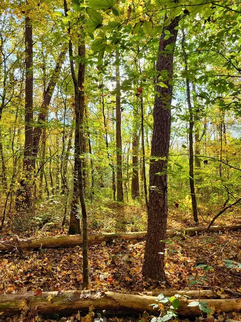 0 Sand Mountain Rd, Ocoee, TN 37361 photo 16