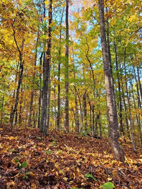0 Sand Mountain Rd, Ocoee, TN 37361 photo 18