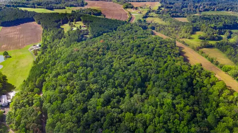 0 Sand Mountain Rd, Ocoee, TN 37361 photo 8