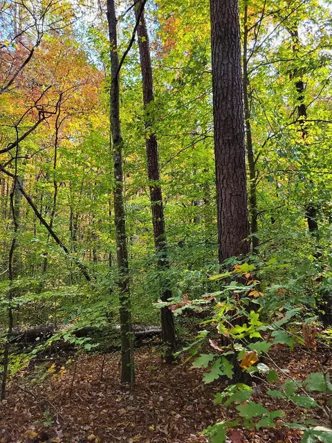 0 Sand Mountain Rd, Ocoee, TN 37361 photo 17