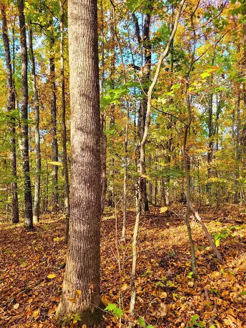 0 Sand Mountain Rd, Ocoee, TN 37361 photo 25