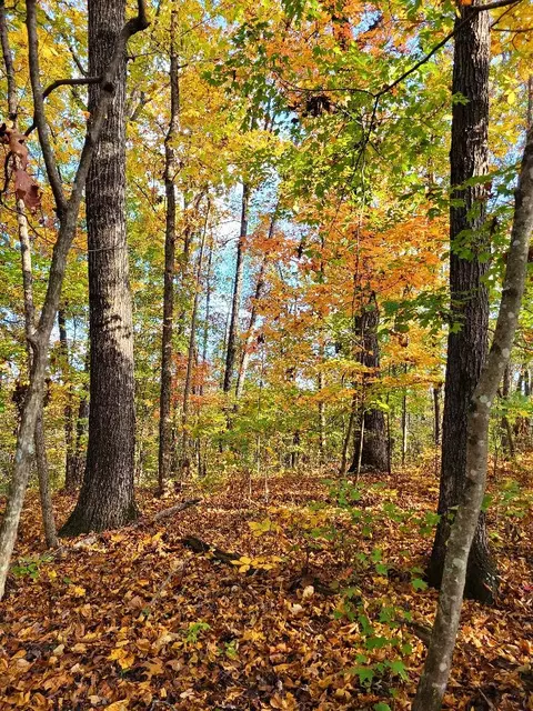 0 Sand Mountain Rd, Ocoee, TN 37361 photo 22