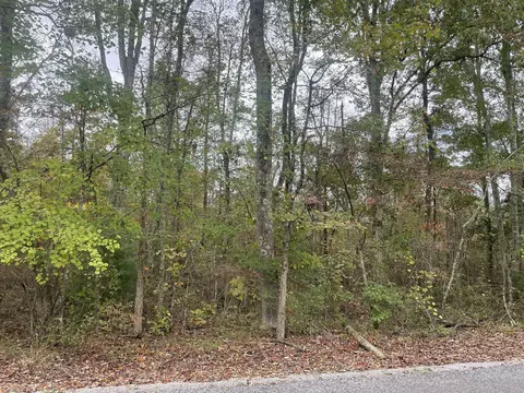 4 6 Acre County Road 309, Bryant, AL 35958