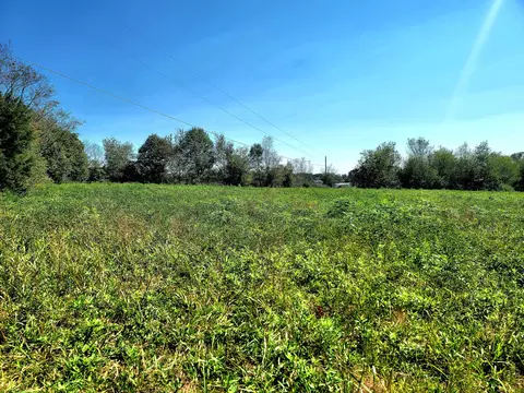 0 75 Hwy, Flat Rock, AL 35966