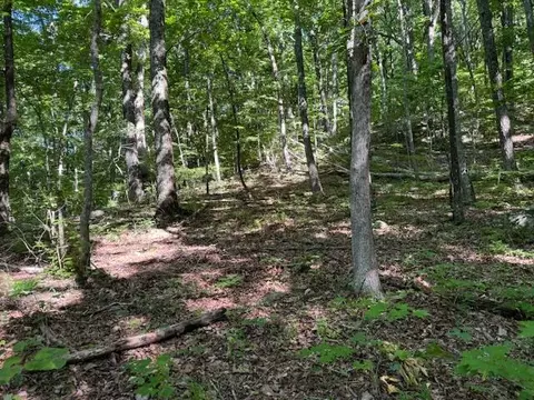 3441 Newsome Gap Rd, Rising Fawn, GA 30738