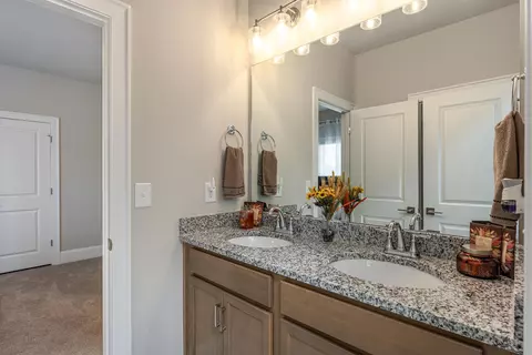 3305 Grassy Fields Ln, Apison, TN 37302 photo 26