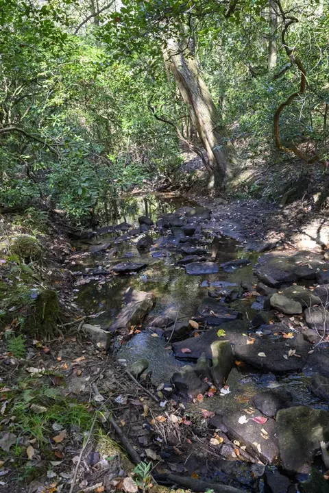 20 N Lula Forest Trl, Rising Fawn, GA 30738