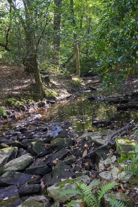 2 N Lula Forest Trl # A, Rising Fawn, GA 30738