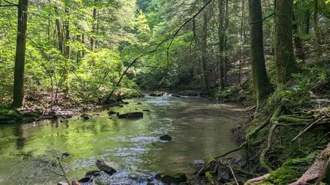 0 Wolf Haven Rd #8, Spencer, TN 38585