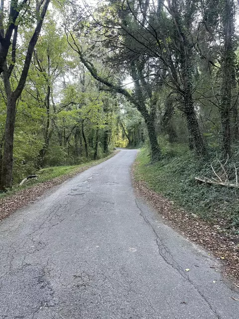 00 Browder Switch Rd, Jasper, TN 37347