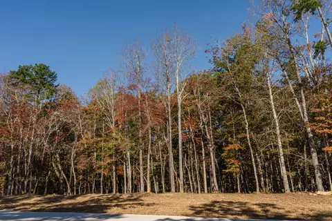 3308 River Gorge Dr #LOT 1409, Chattanooga, TN 37419