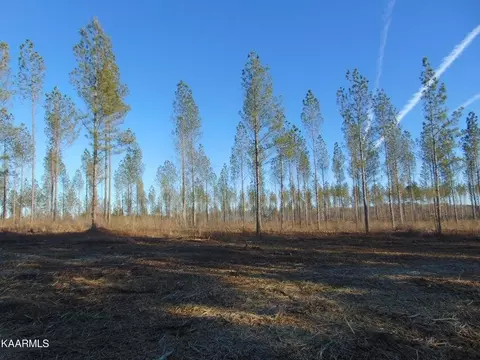 Tract 3&4 Hughes Lake Road SE #3 ,4, Cleveland, TN 37323