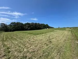 625 Beeler Ridge Rd, Charleston, TN 37310