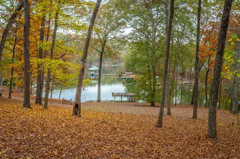 N/a Torbett Road, Spring City, TN 37381