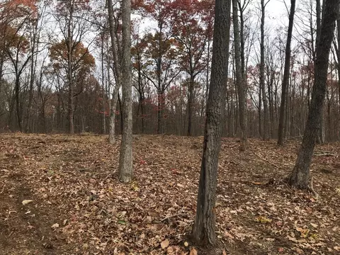 1 White Oak Swamp Rd #1, Dunlap, TN 37327