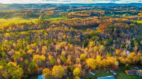 lot2 Pine Farm Rd, Lafayette, GA 30728