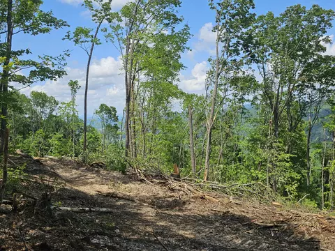 12 Higgenbottom Tpke #12, Altamont, TN 37301