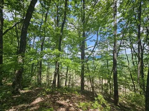 14 Higgenbottom Tpke #14, Altamont, TN 37301