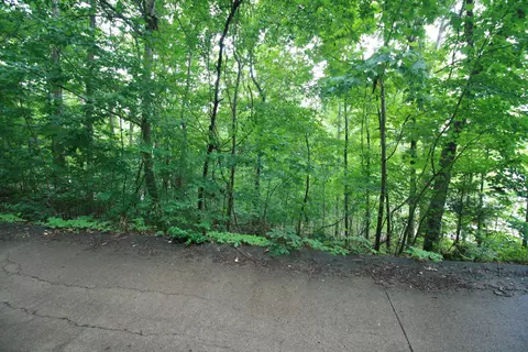 6625 Cape Haven Dr, Harrison, TN 37341