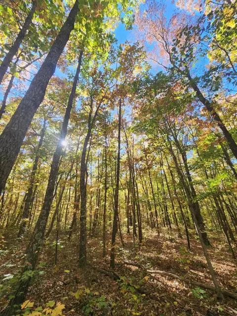 17 Higgenbottom Tpke #17, Altamont, TN 37301